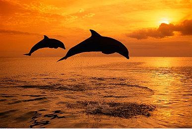 深海主题动作游戏《冰海孤翼》试玩Demo现已推出